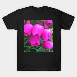 Petite Pink Bell Flowers T-Shirt